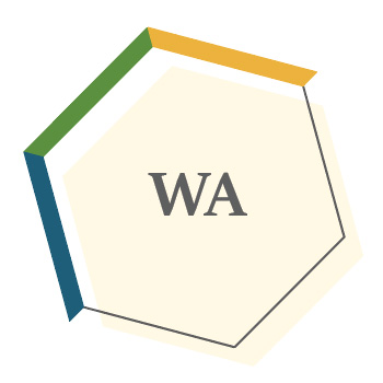 Washington icon