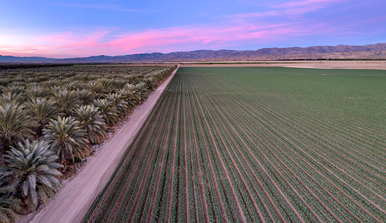California760x440