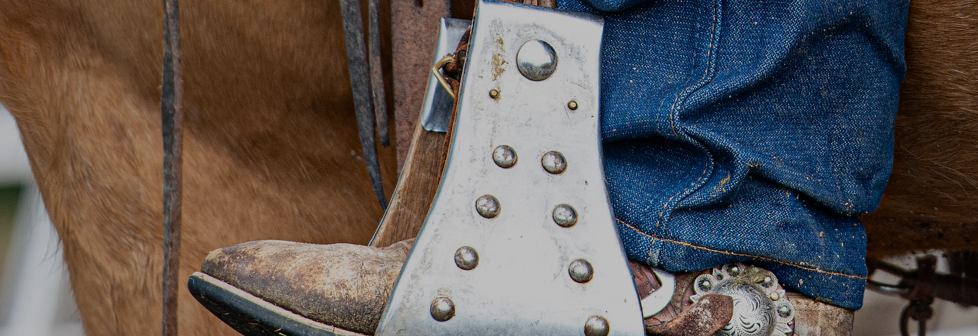 Cowboy stirrup